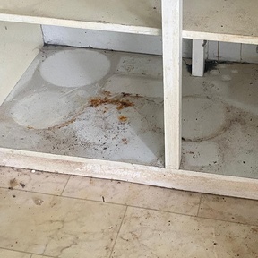 Pre Build Cleaning Sandwich